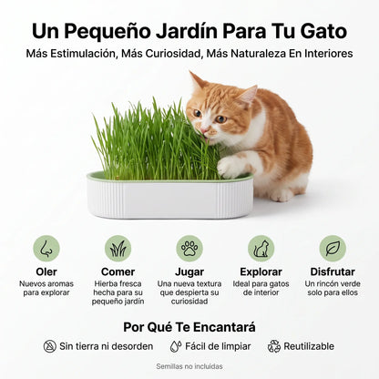 MichiGrass™ Jardín para Gatos de Interior