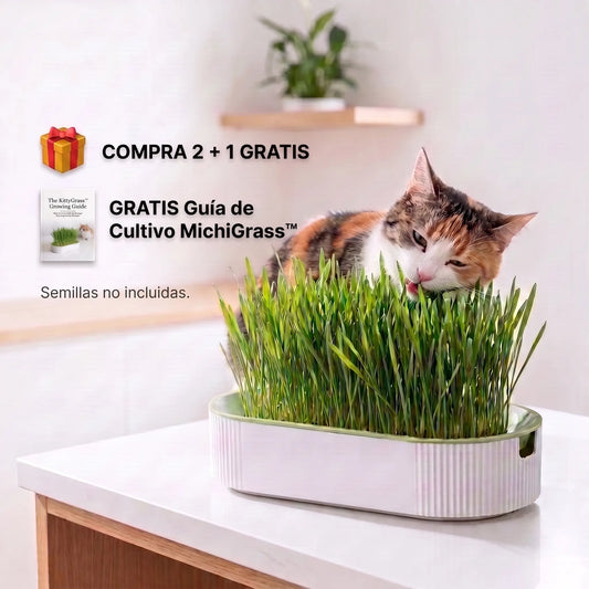 MichiGrass™ Jardín para Gatos de Interior